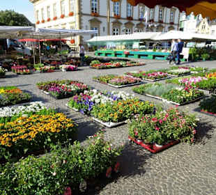 Impressionen des Wochenmarkt in Luxemburg Stadt