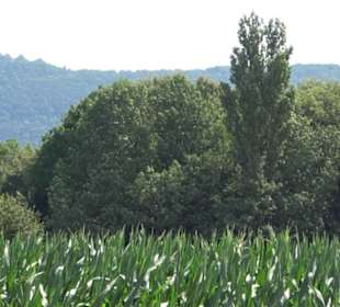 Hochgehnießen - Premiumspazierwanderweg