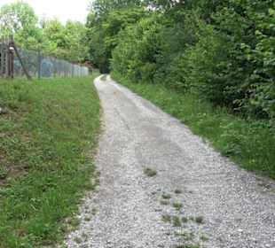 Schutzgebiet Spitzberg, Pfaffenberg