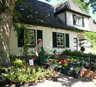 Vor dem Gartenhaus