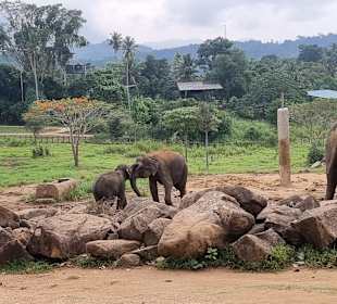Tony Sri Lanka Tours
