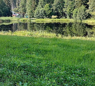 Wandern Sankt Oswald-Riedlhütte
