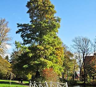 Парк Замка Ойтин.Золотая осень.