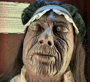 Museum Ripley's Believe It or Not!