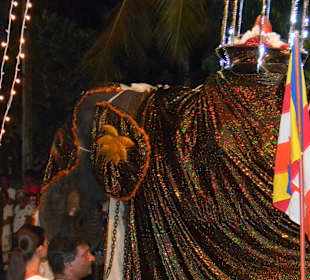 Perahera Wadduwa