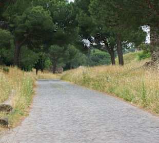 Was diese Straße für Geschichten kennt