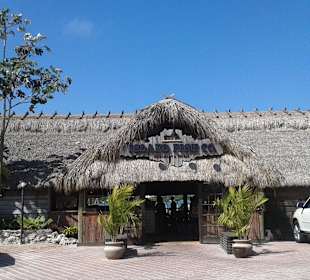 Island Fish & Co auf Islamorada