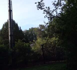 Englischer Garten