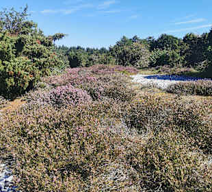 Wandern Sellin auf Rügen