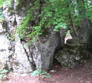 Hochgeträumt Premiumwanderung