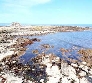 Stadtrundgang Punta del Este