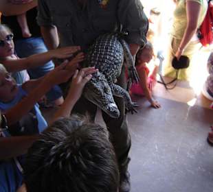 Reptilienshow im Oasis Park