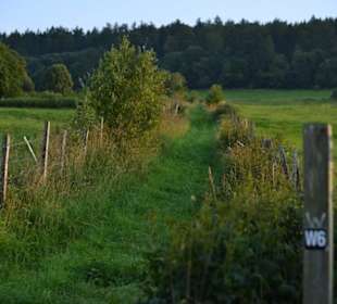 Walking trails just few meters from the house