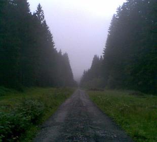 Šumava