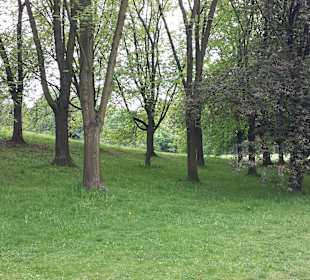 Park