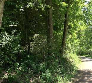 Wanderweg Sieben-Täler-Runde 