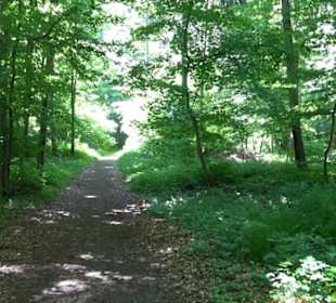 Premiumwanderweg "hochgelegen"