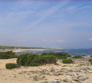 Spaziergang vom Hotel aus