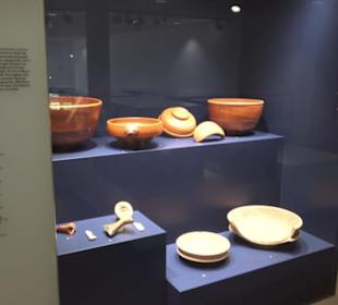 Rheinisches Landesmuseum 