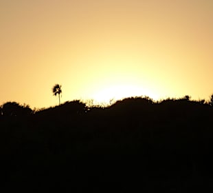 Strand Playa del Carmen