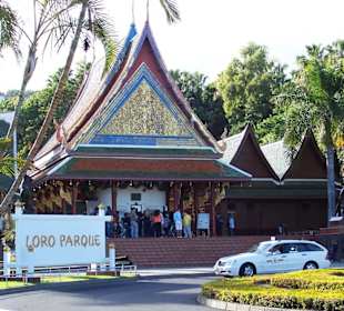 Loro Parque, etwa 10 Gehminuten entfernt