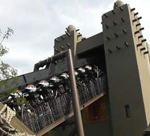 Deep in Africa - Black Mamba