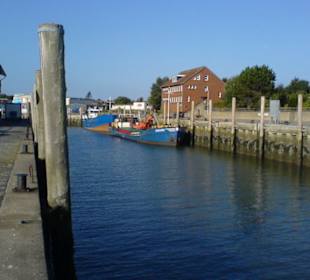 Tagesausflug: Fahrt mit der Fähre nach Föhr