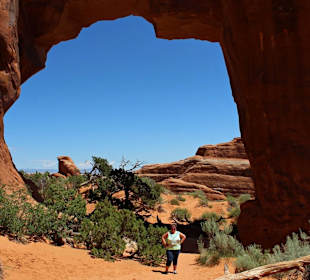 Pine Tree Arch