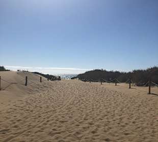 Dünen von Maspalomas