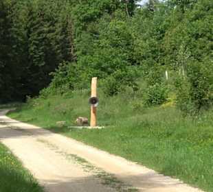 Phäno-Pfad Aichstetten