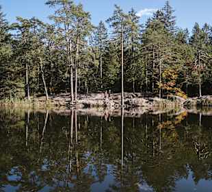 Almrundwanderung am Jochgrimm