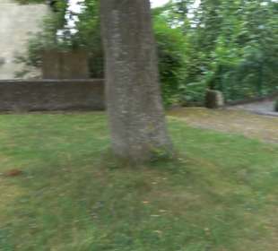 Kirche St. Dionysius Dettingen