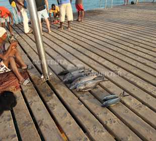 Am Hafen Santa Maria