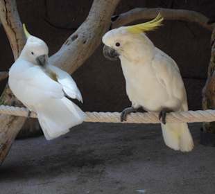 Marineland - September 2013