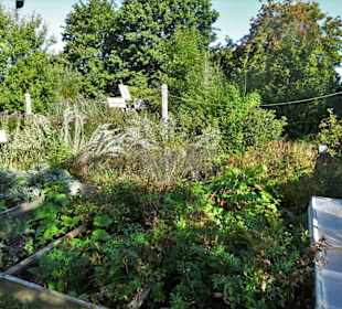 Bauerngarten im Freilichtmuseum am Kiekeberg