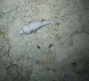 Фото с пирса