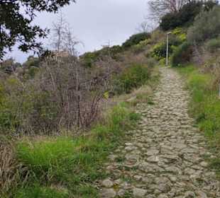 Fußweg oberhalb von Rab Stadt
