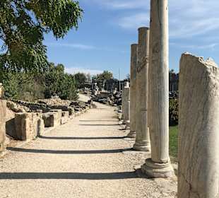 Apollon Tempel