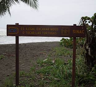 Auf zum Schildkrötenstrand