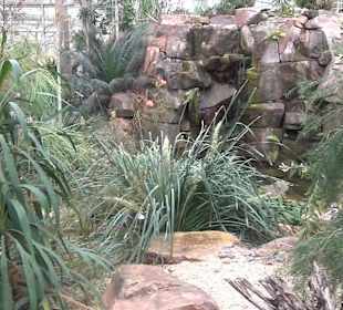Tropicarium - Trockentropen