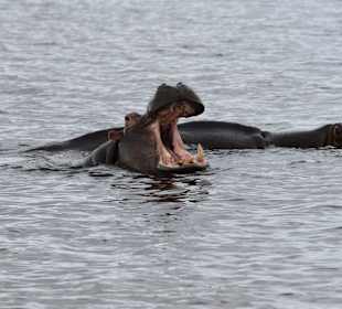 iSimangaliso Wetland Park