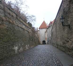 Выход из сада