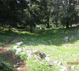 Wanderweg zum Bergkamm