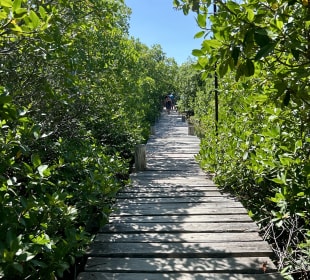 Sian Kaan / Punta Allen