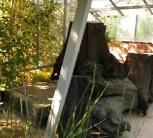 Botanischer Garten