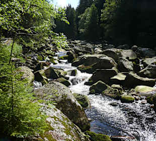 Widra (cz: Vydra) im Biosphärenreservat Sumava