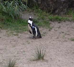 Tierpark