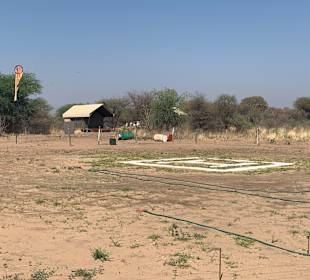 Landing Field