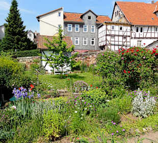 Spaziergang durch den Sophiengarten