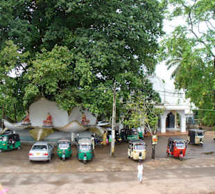 Buddha-Tempel nahe Beruwela